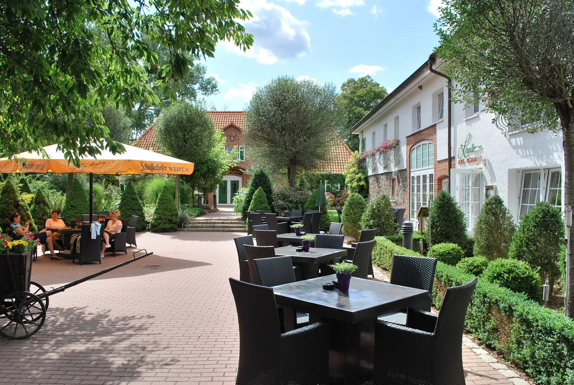 Terrasse