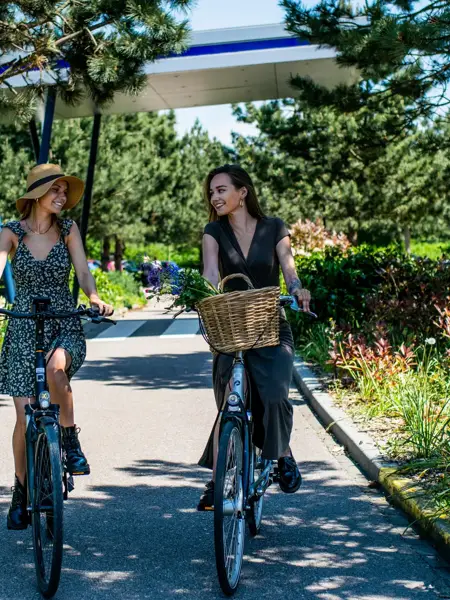 texte alternatif de l'image