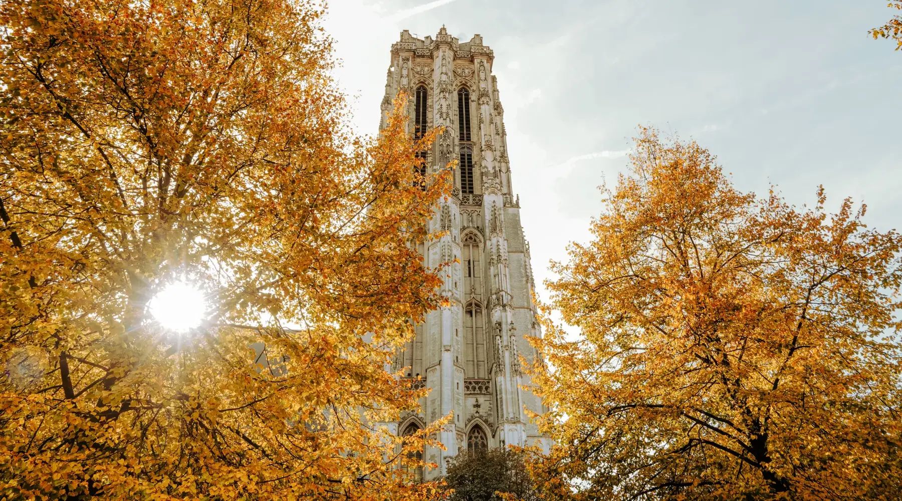 Sint-Romboutstoren in de herfst