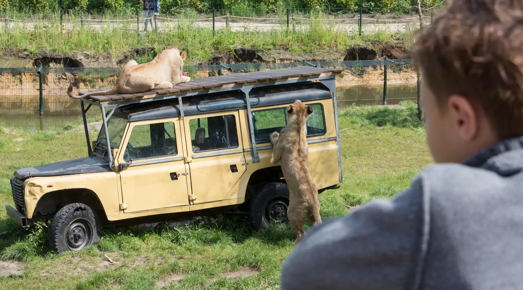 ZooParc Overloon