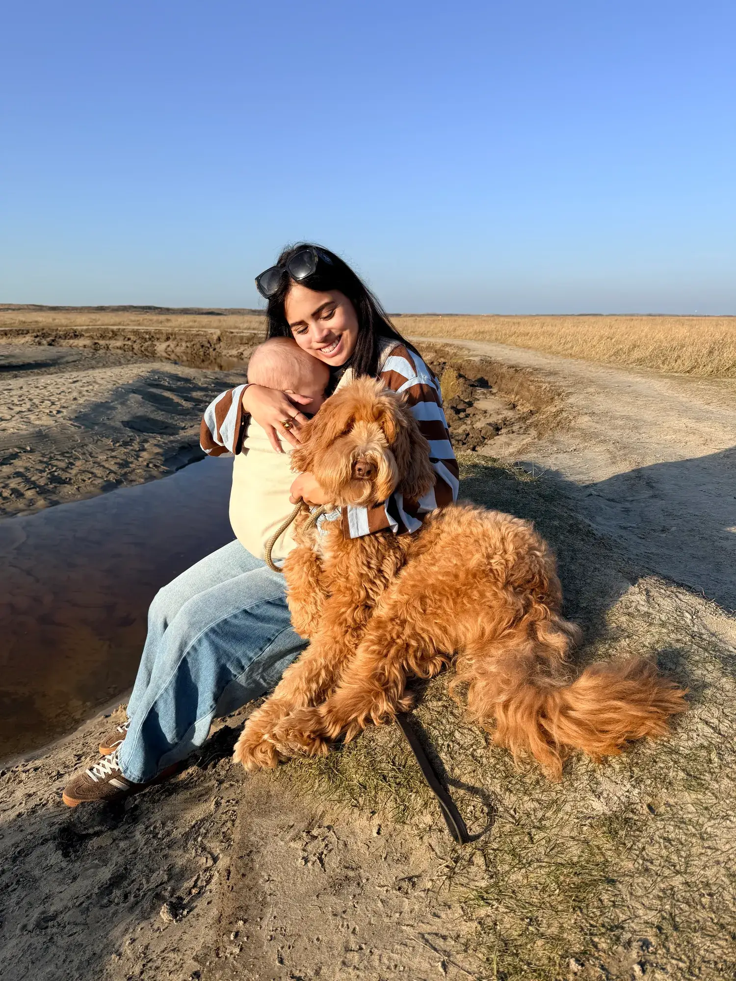Hond op strand