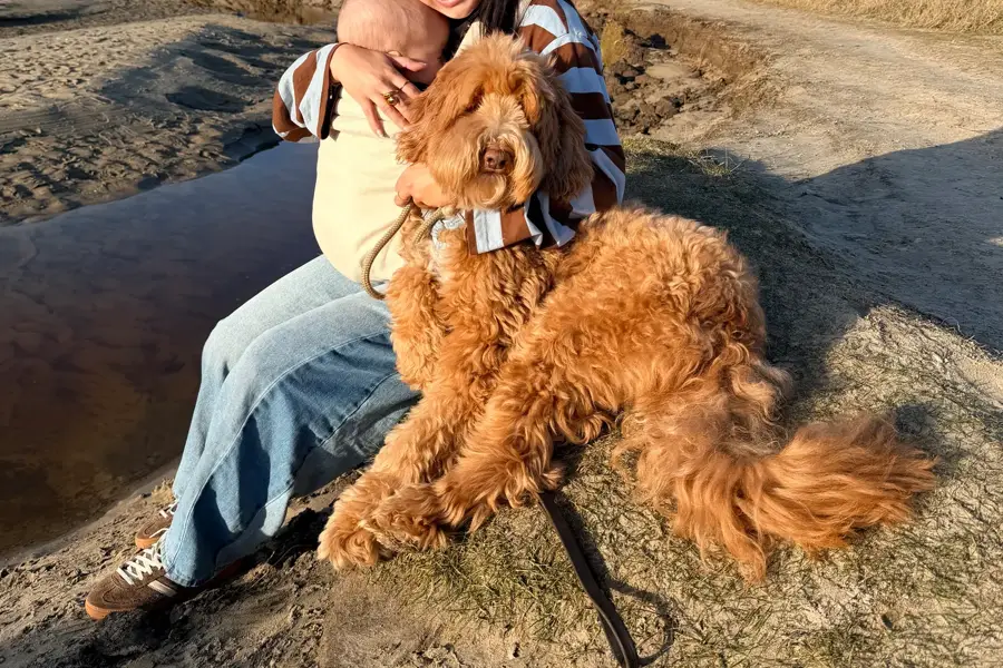 Verken duinen, stranden en bossen vanaf onze rustige locatie, ideaal voor hondenliefhebbers.