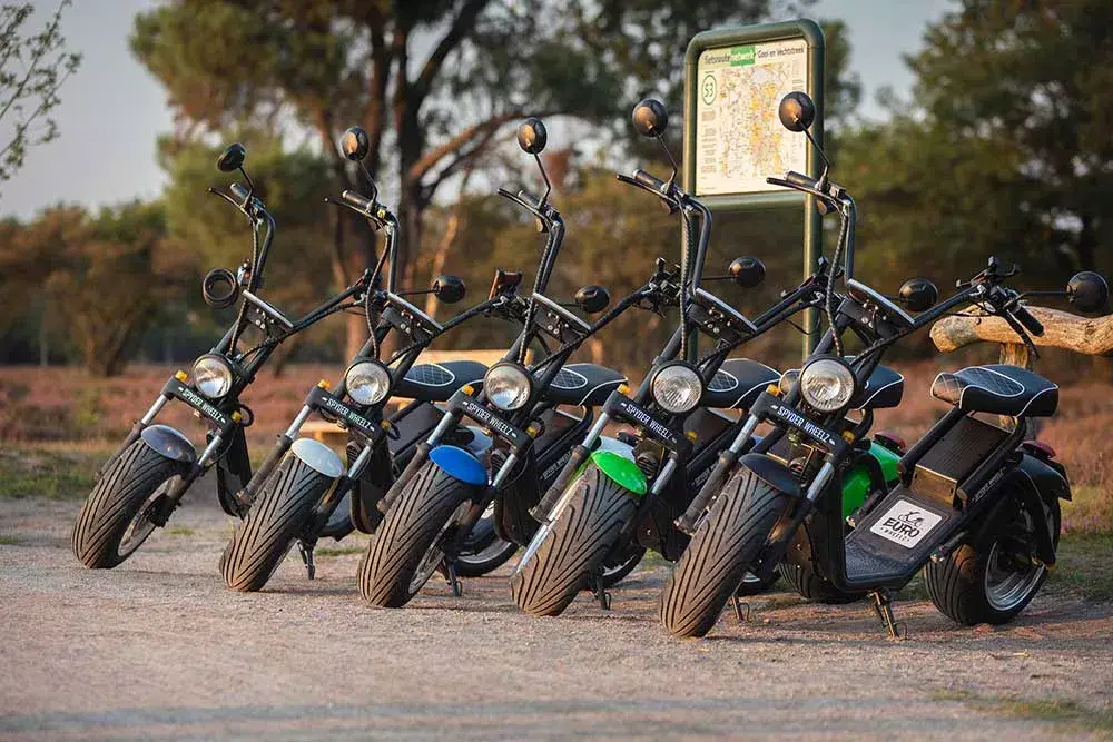 rent an e-chopper