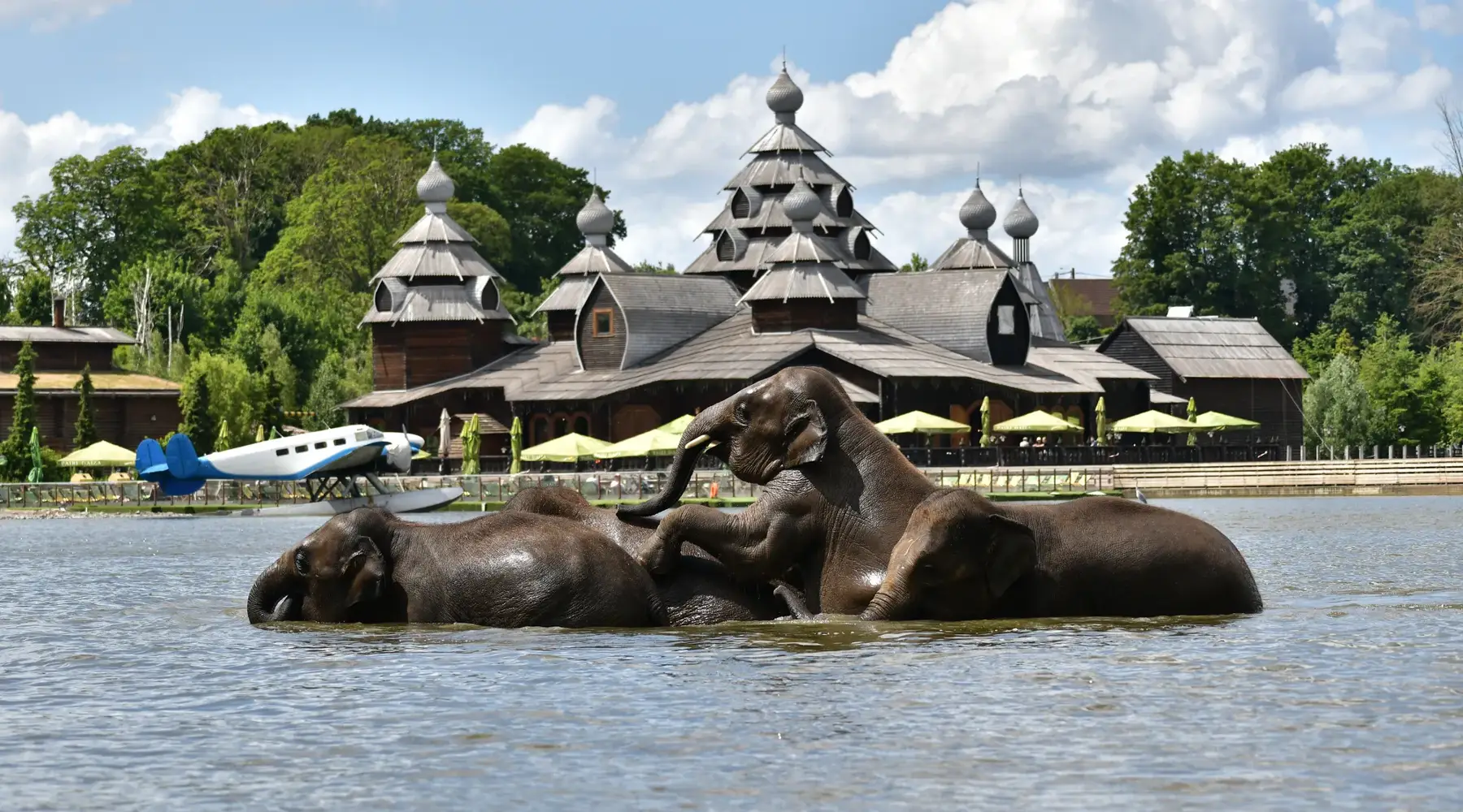 Pairi Daiza Mons Van der Valk
