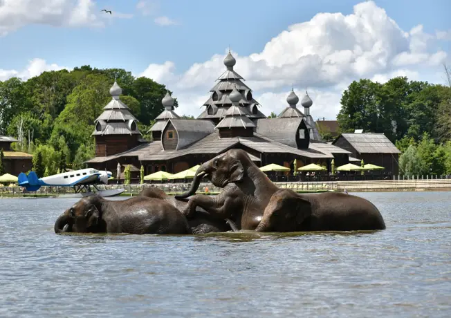 Pairi Daiza Mons Van der Valk