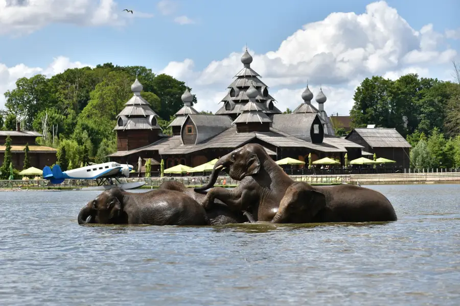 Pairi Daiza Mons Van der Valk