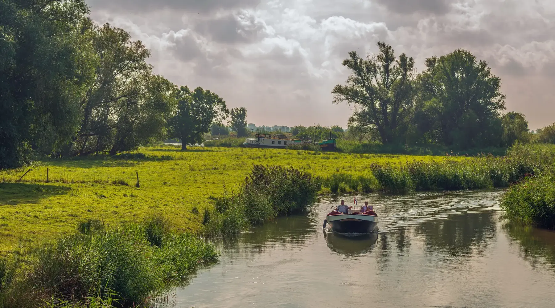 Parc national De Biesbosch