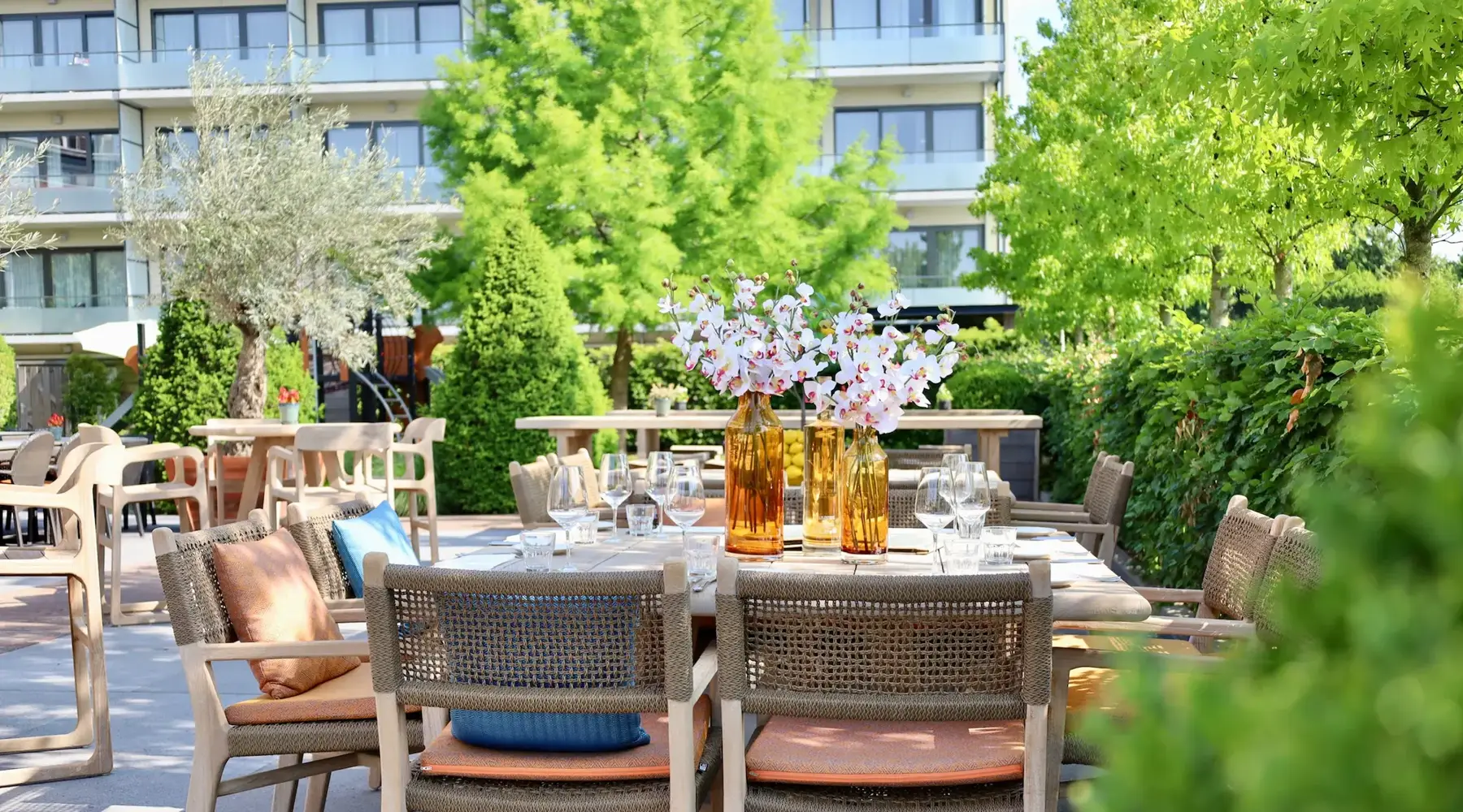 Terras