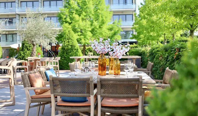 Terras