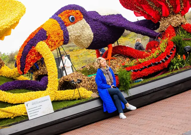 Flower season in the Bollenstreek