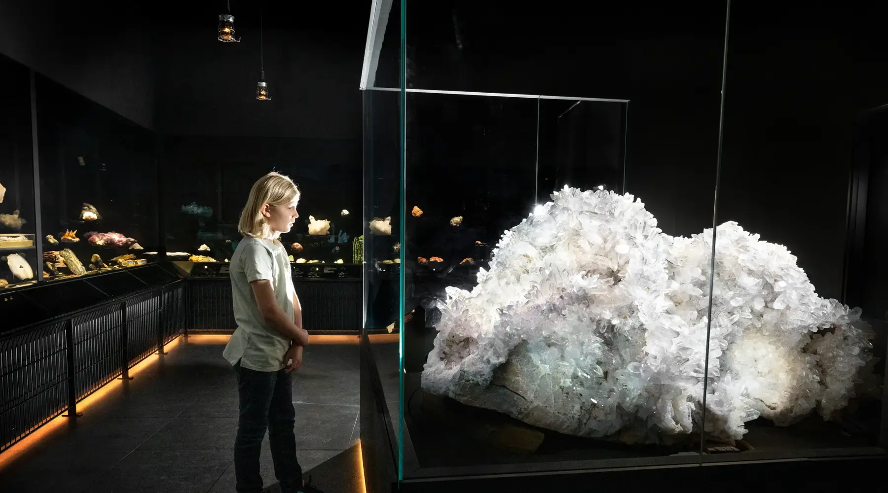 Foto van Naturalis