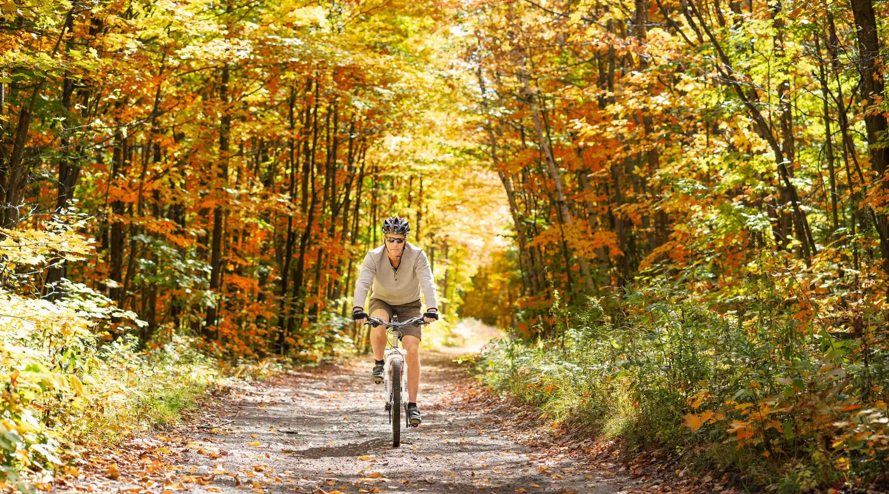Radfahrer durch den Herbstwald