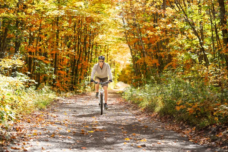 Fietser door herfst bos