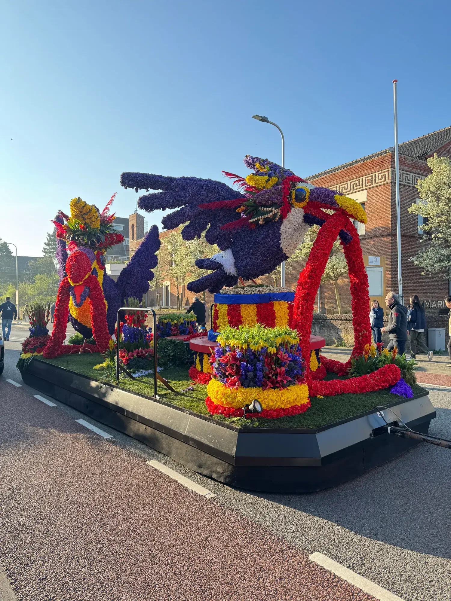 Corso floral | Région des bulbes | Char décoré