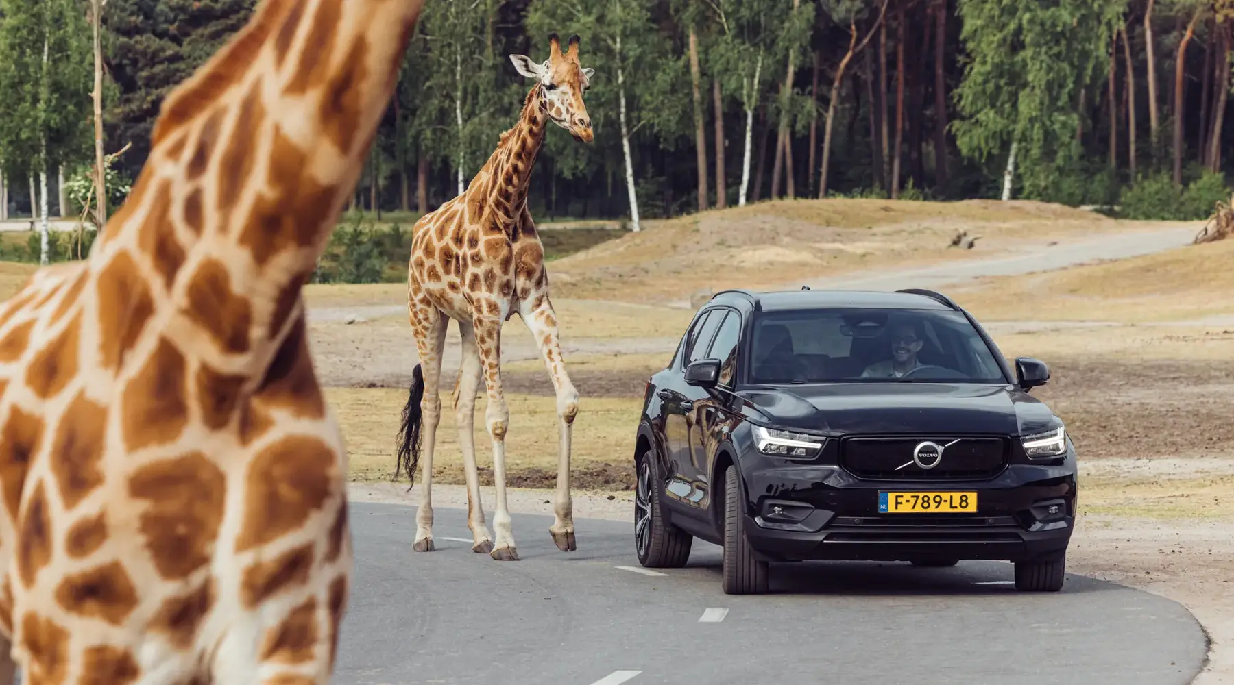 Safari Park