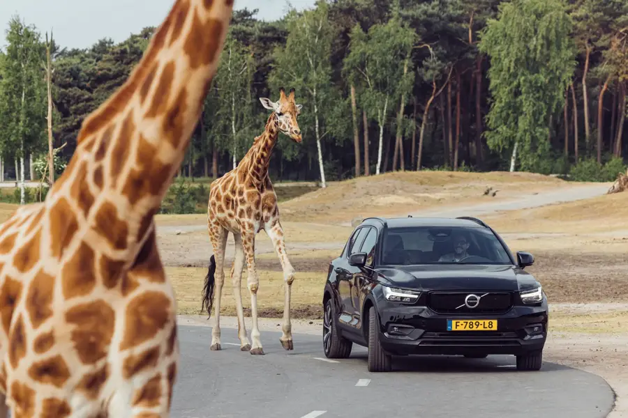 Safaripark