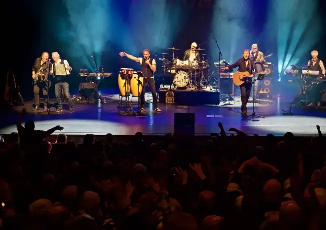 Die leuchtenden Katzen-Hommage