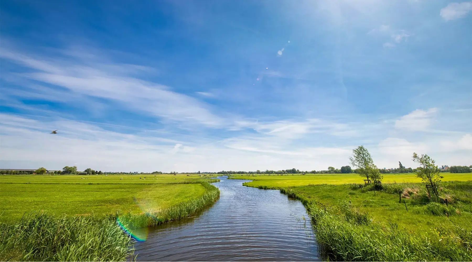 The Arresthuis - Sustainability - Photo of nature