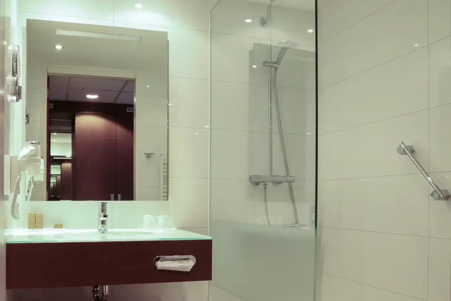 Salle de bains avec douche à effet pluie