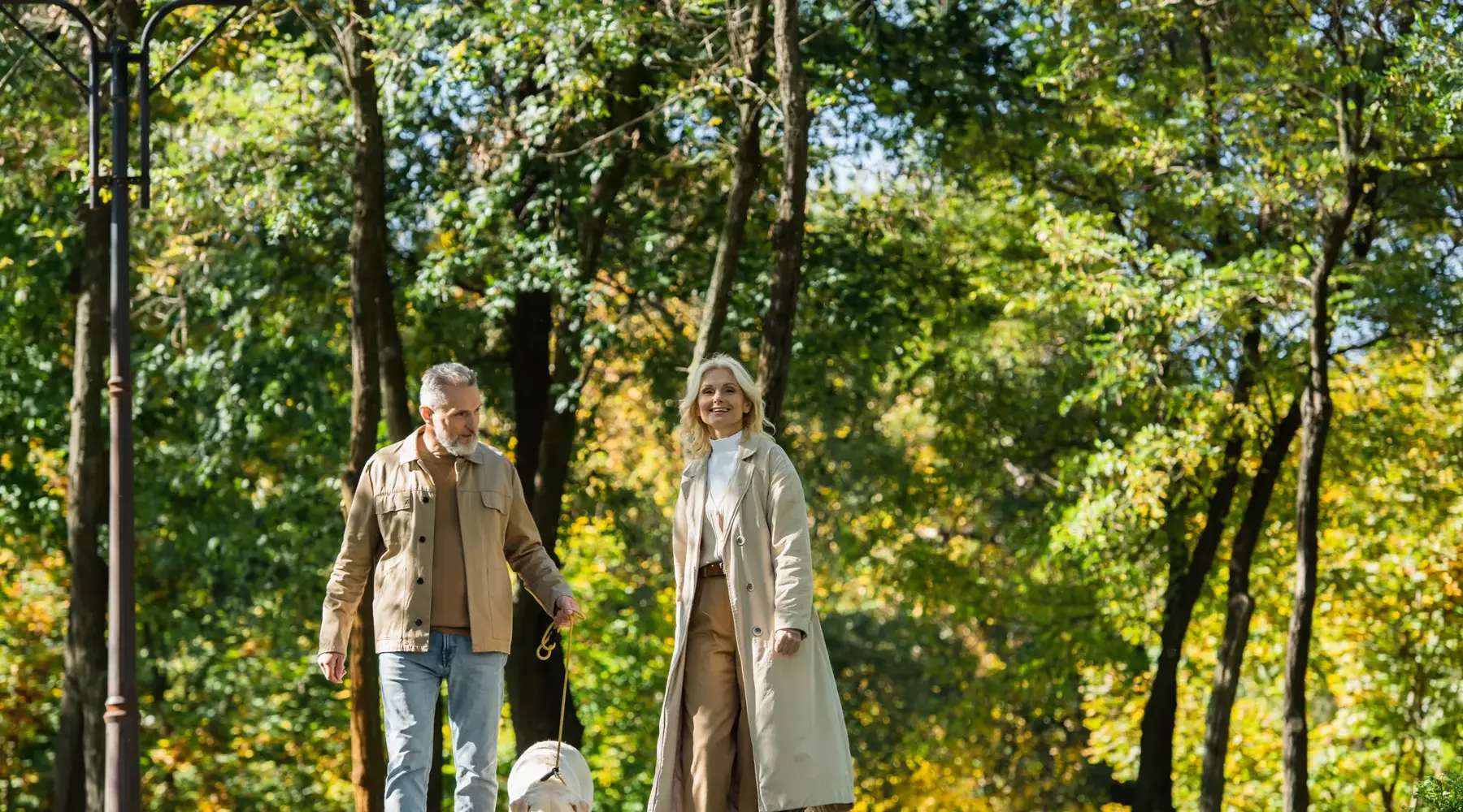 Wandelen in het bos