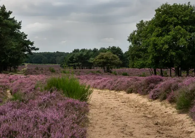 I'm sorry, but I need a text to translate into English. Please provide the text you would like me to translate.