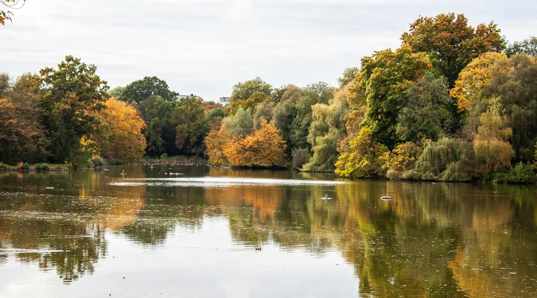 Breukelen bezoeken