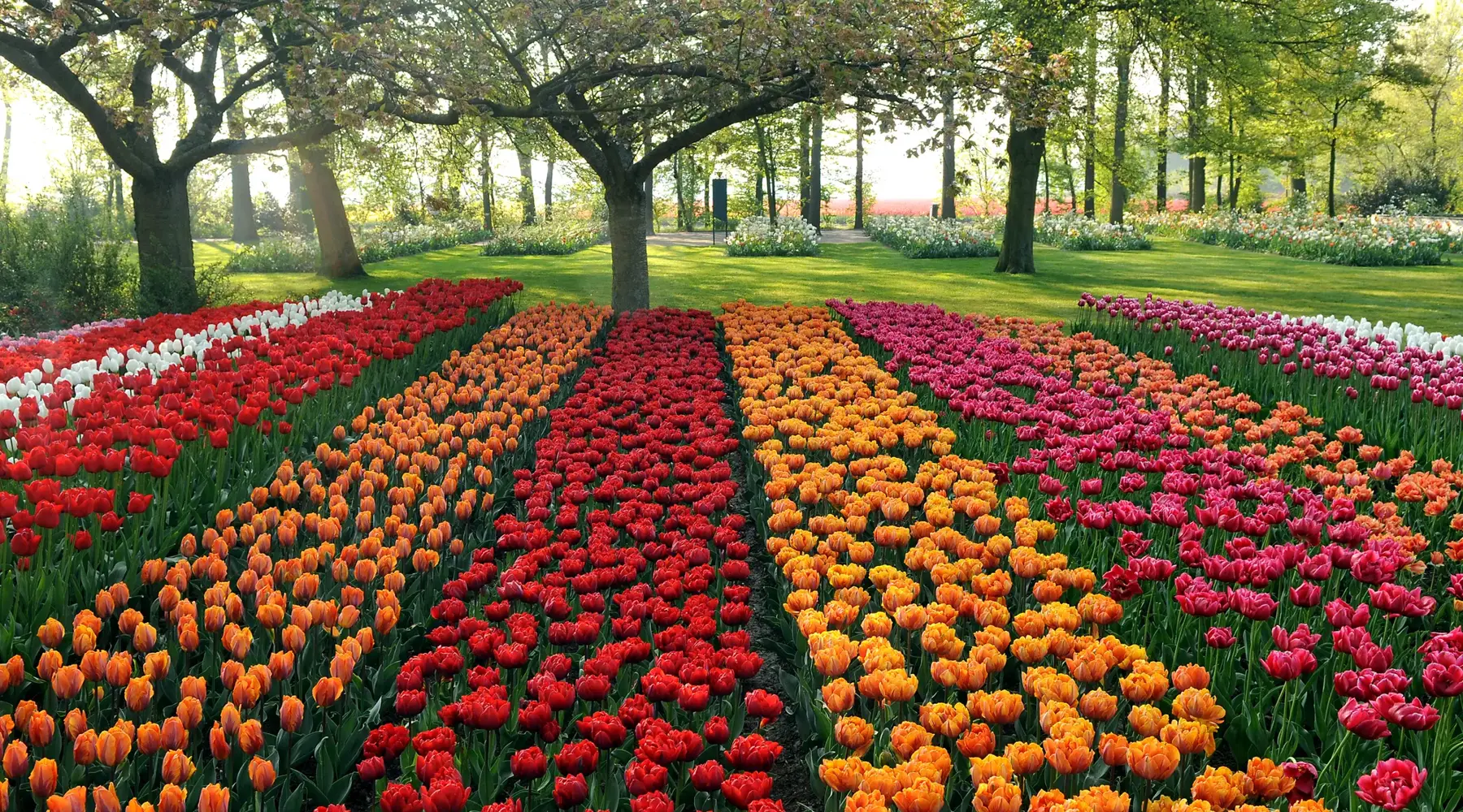 Keukenhof