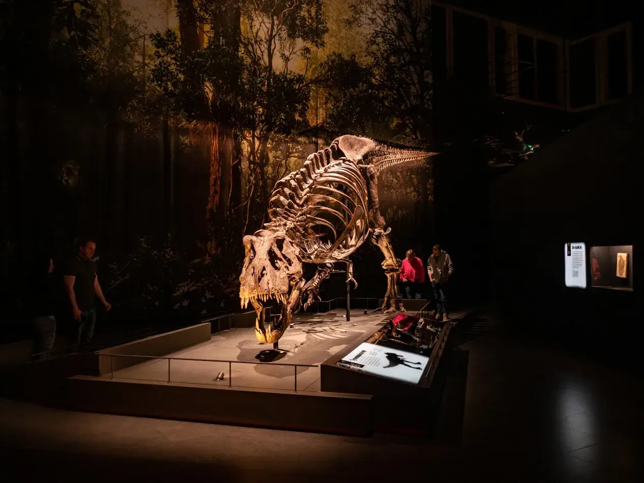 Naturalis