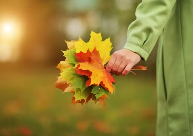 Herbst