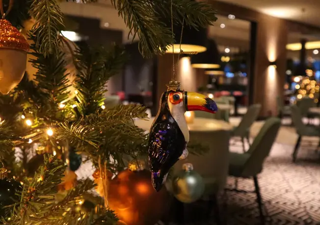 Toekan in de kerstboom