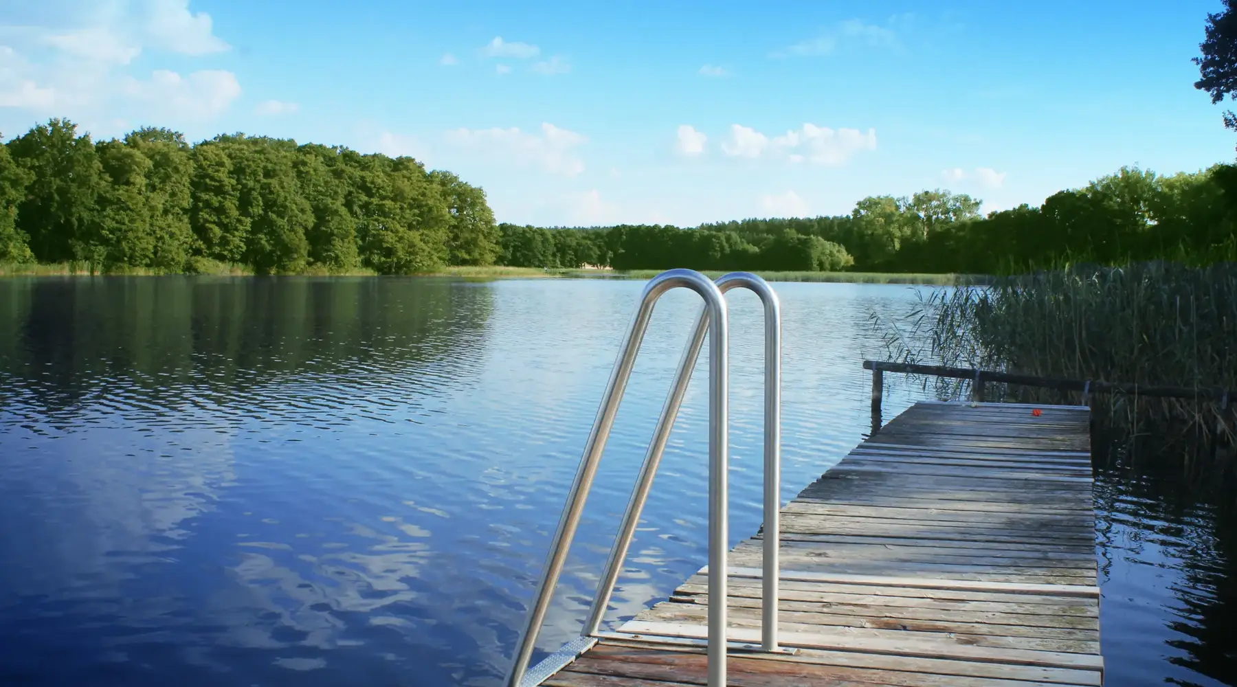 Sauna in het natuurreservaat Drewitz