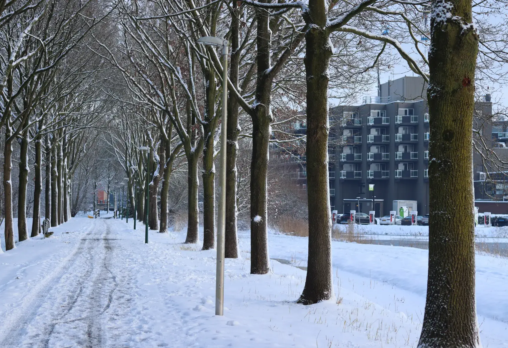 winter