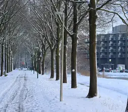 winter