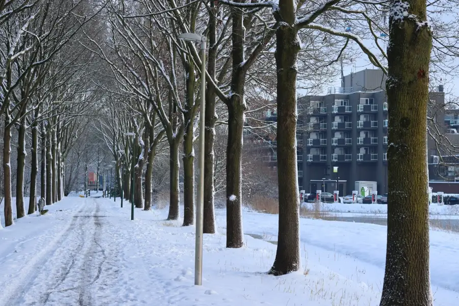 winter