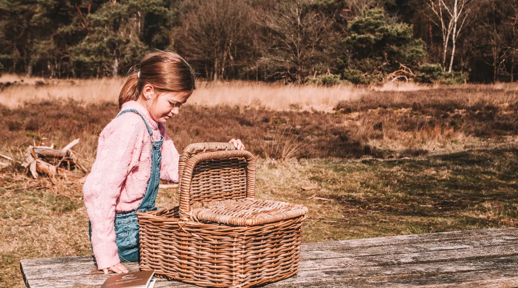 Junges Mädchen auf der Veluwe