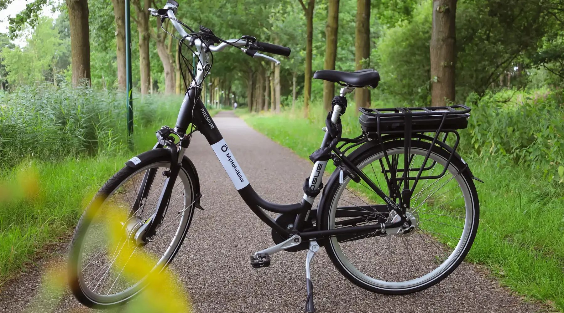 Location de vélos à Leusden