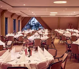 VD5&VD6 diner
