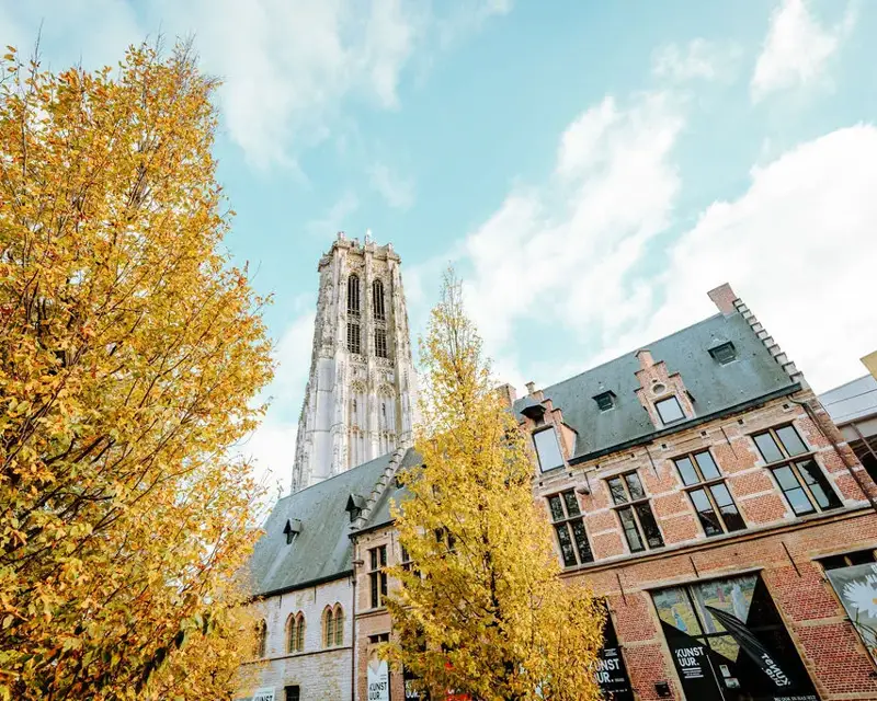 The Saint Rumbold's Tower