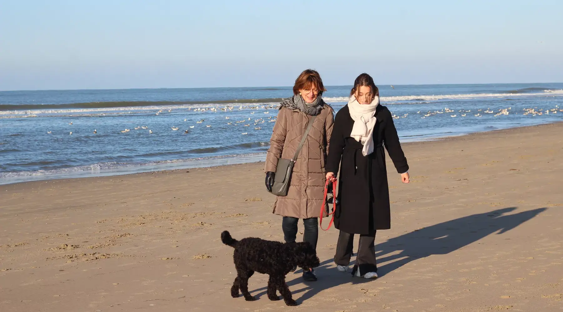 Wandelen op het strand