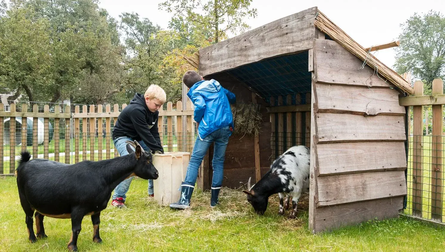 Kinderboerderij Dierenvallei