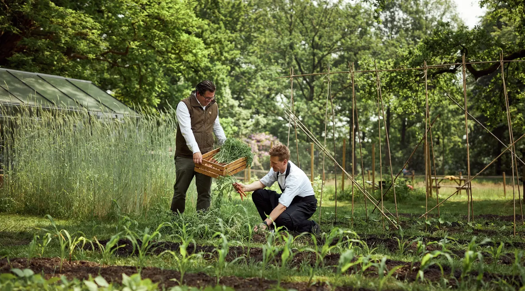 Gemüsegarten