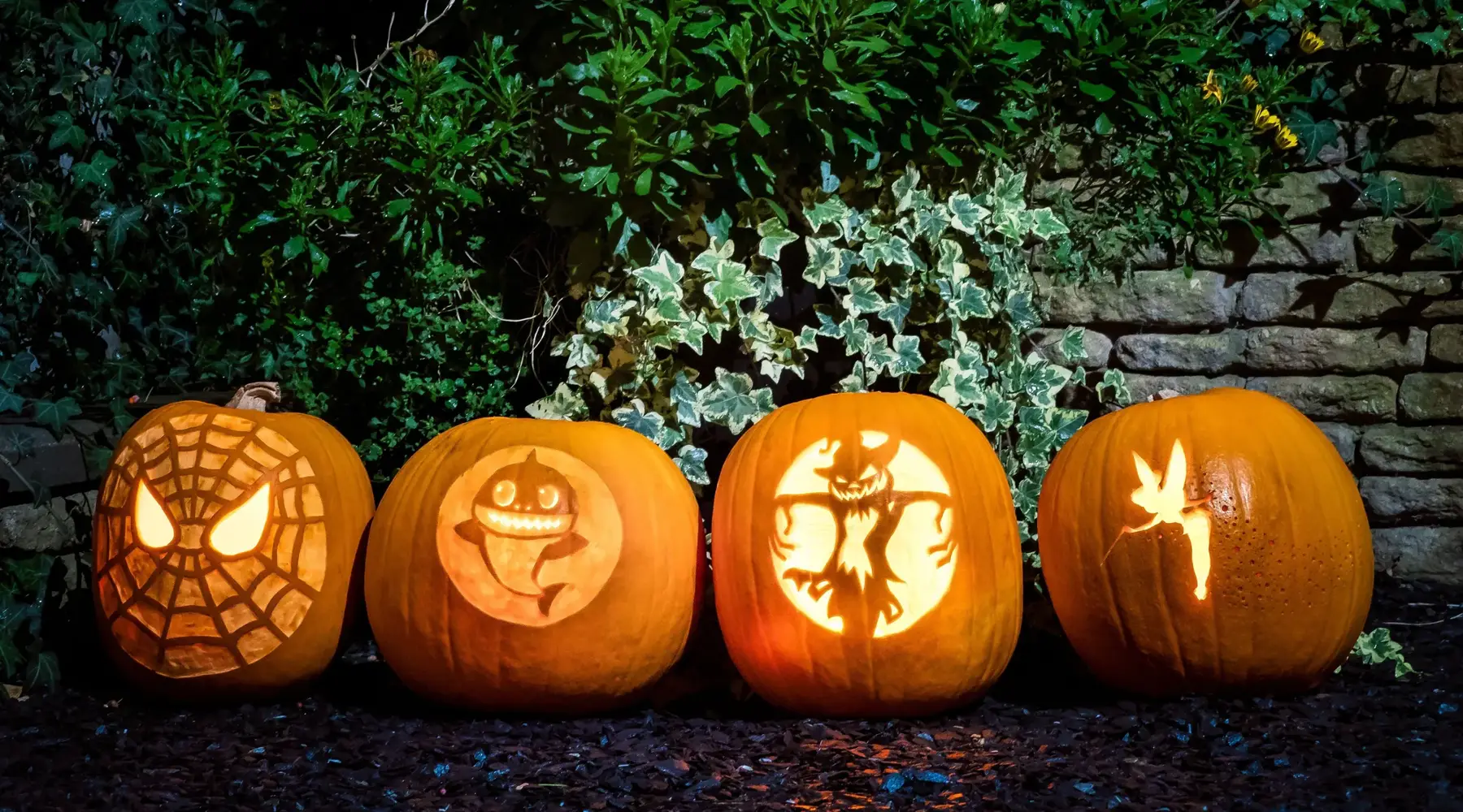 Pumpkin