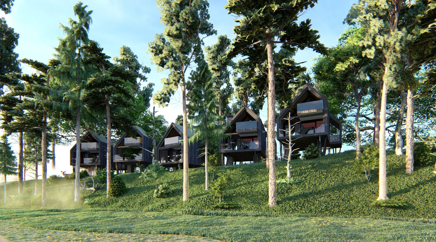 suites de luxe dans les arbres