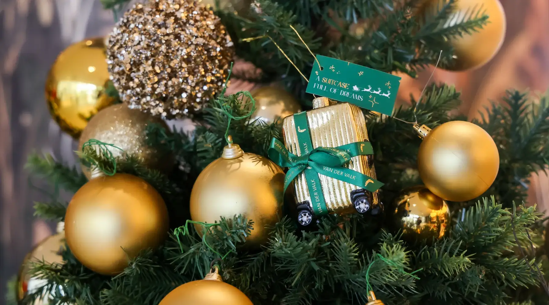 Christmas in the tree