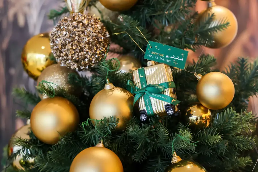 Christmas in the tree