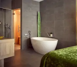 Rain Forest Suite
