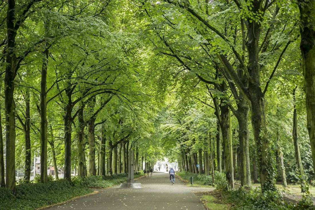 Rivierenhof