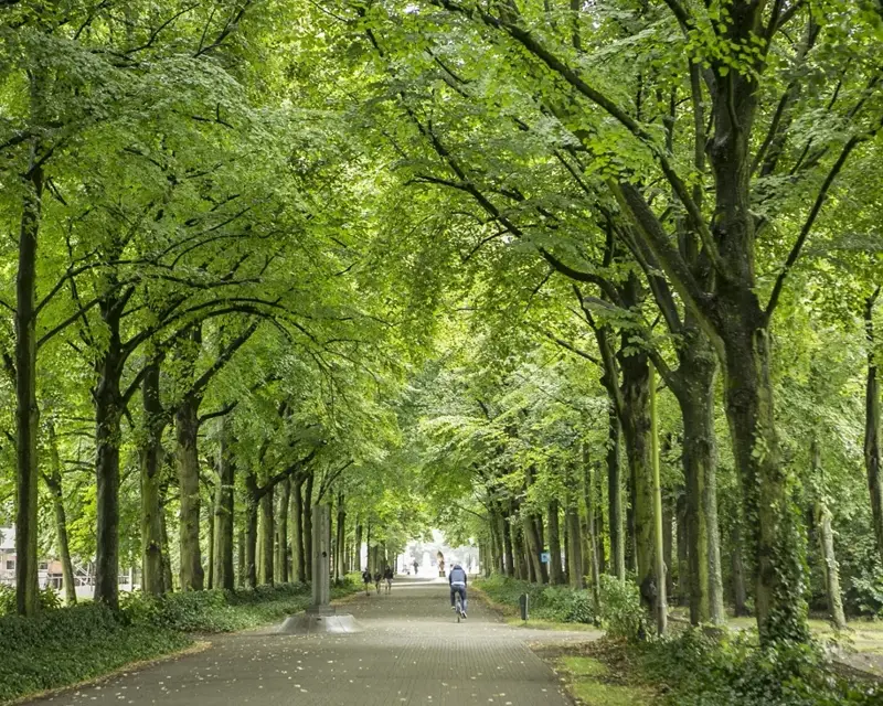 Rivierenhof
