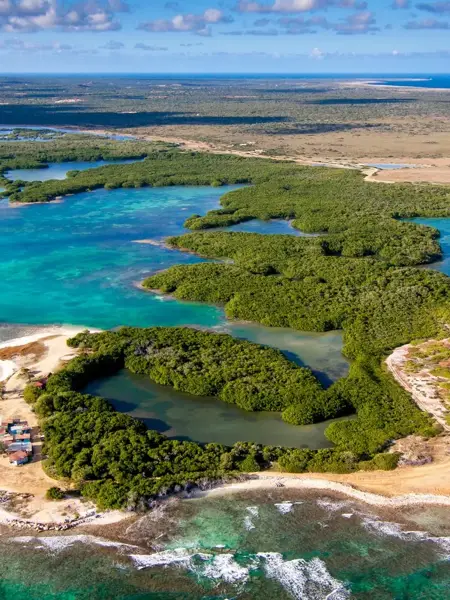 A part of Bonaire from the air