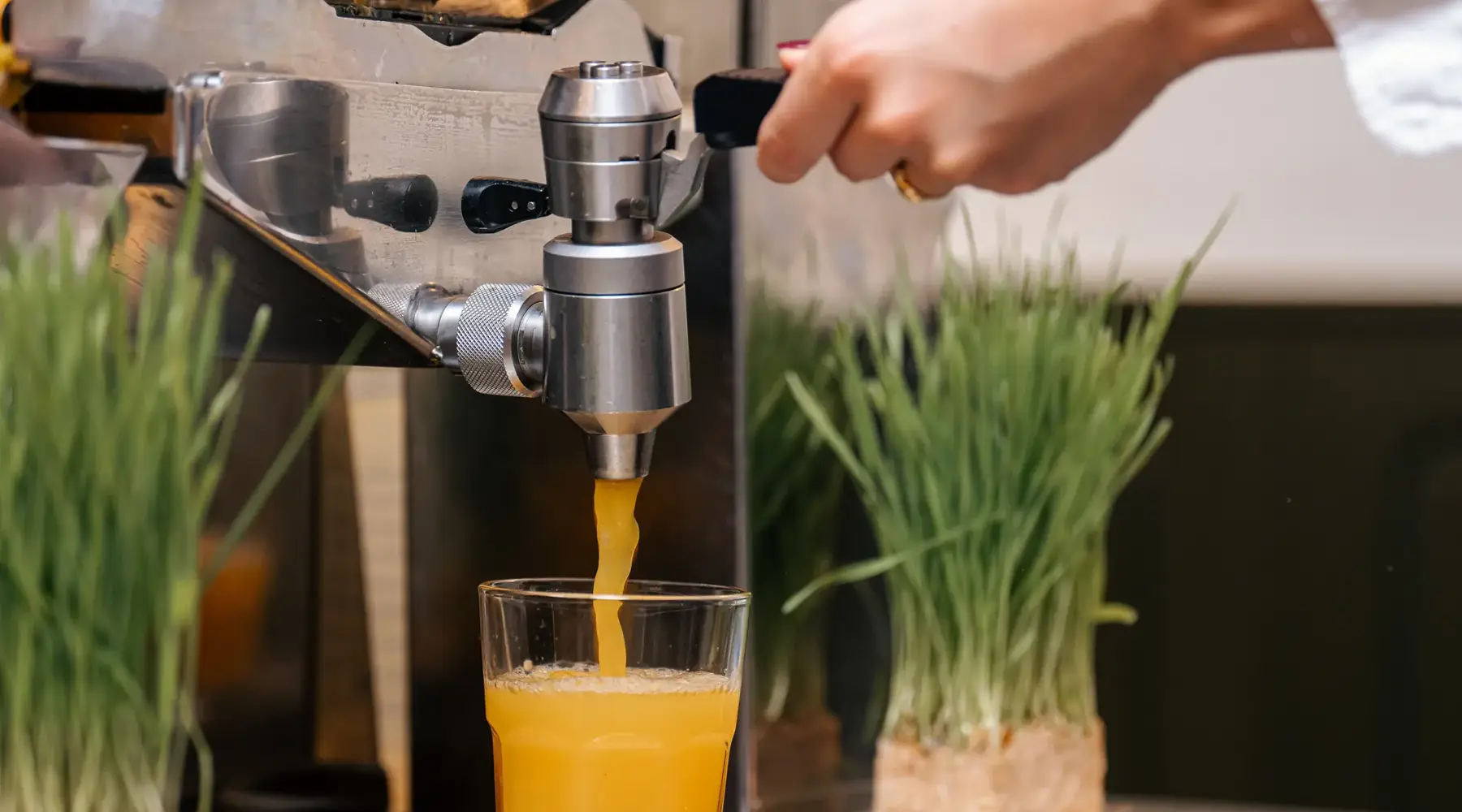 petit-déjeuner à Gand